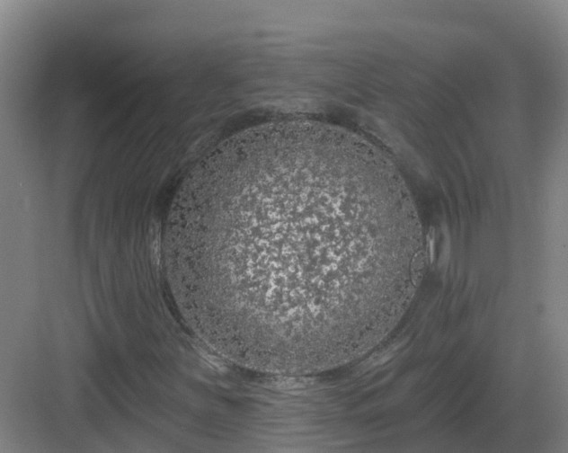 X0000083071251200702091521