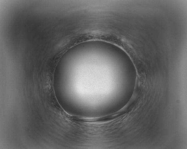 X0000083071253200702091521