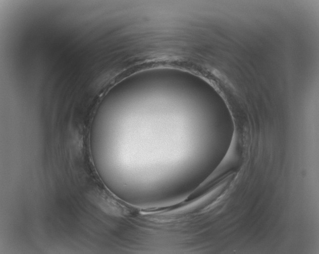 X0000083071257200702091521
