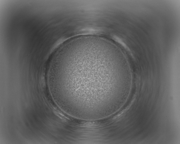 X0000083071259200702091521