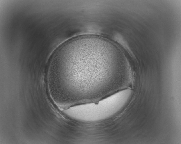 X0000083071260200702091521