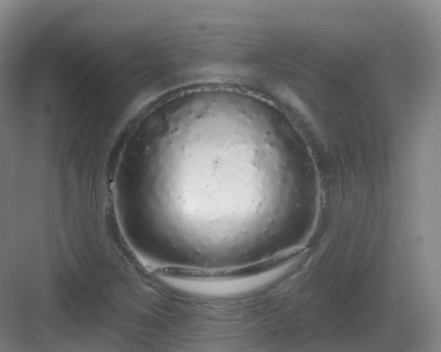 X0000083071267200702091521