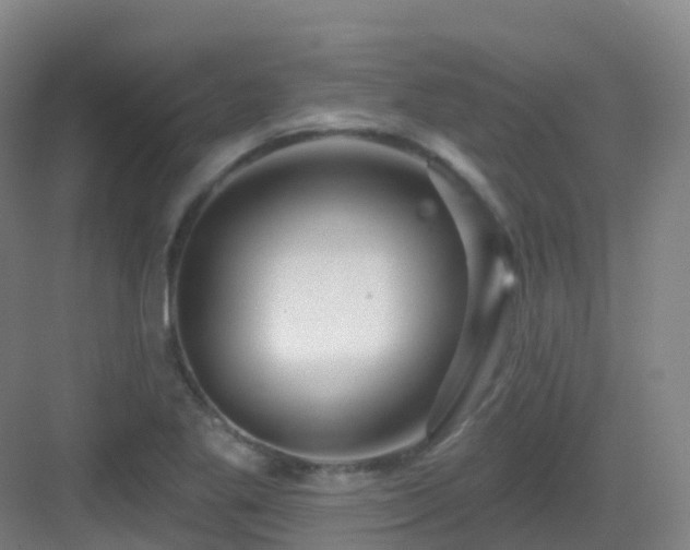 X0000083071269200702091521