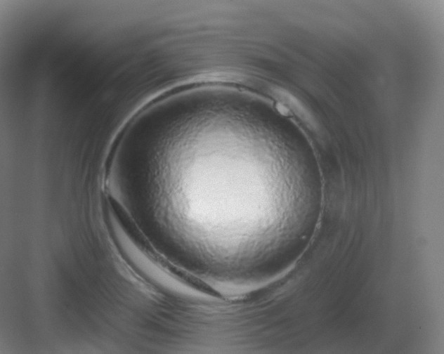 X0000083071276200702091521