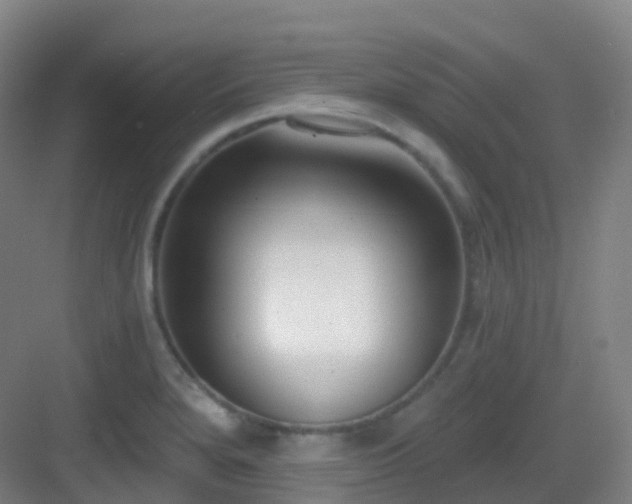 X0000083071280200702091521