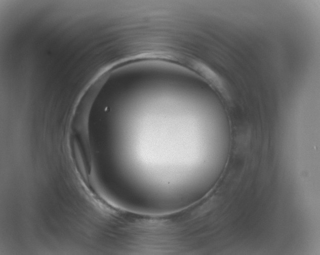 X0000083071284200702091521