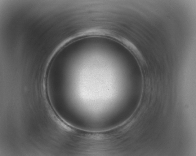 X0000083071288200702091521