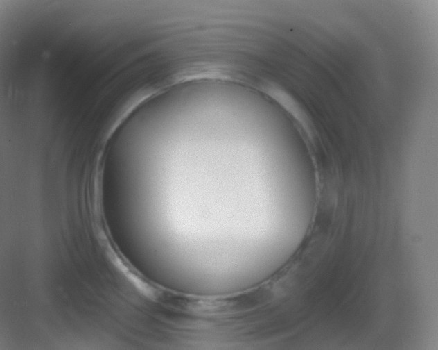 X0000083071290200702091521