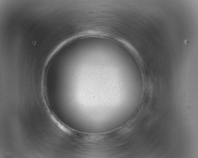 X0000083071294200702091520
