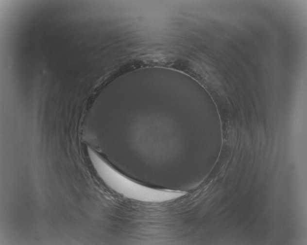 X0000083071297200702091520