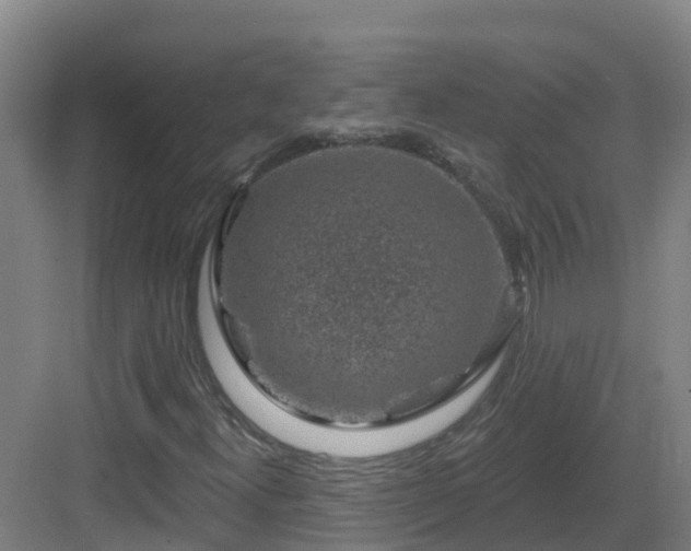 X0000083071300200702091520