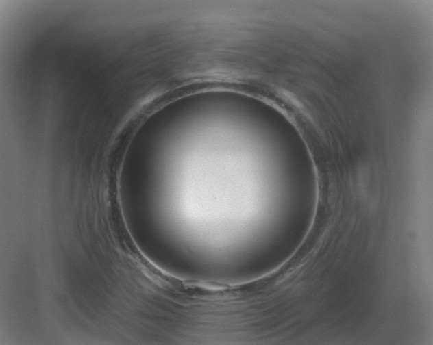 X0000083071307200702091520