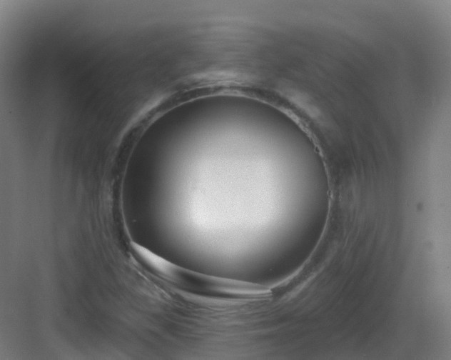 X0000083071309200702091520