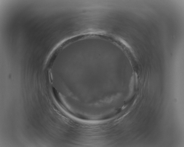 X0000083071310200702091520
