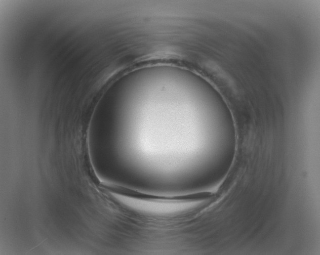 X0000083071313200702091520