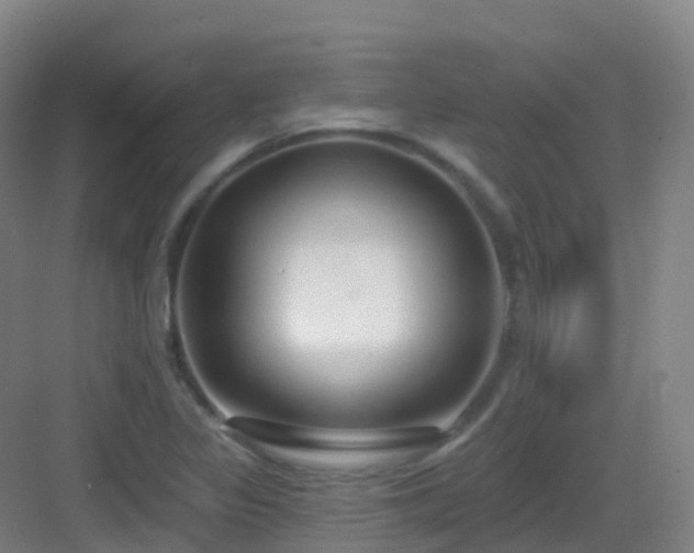 X0000083071317200702091520