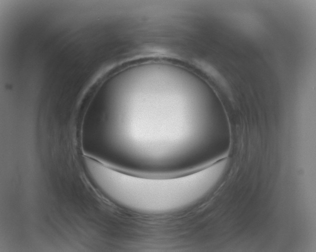 X0000083071318200702091520