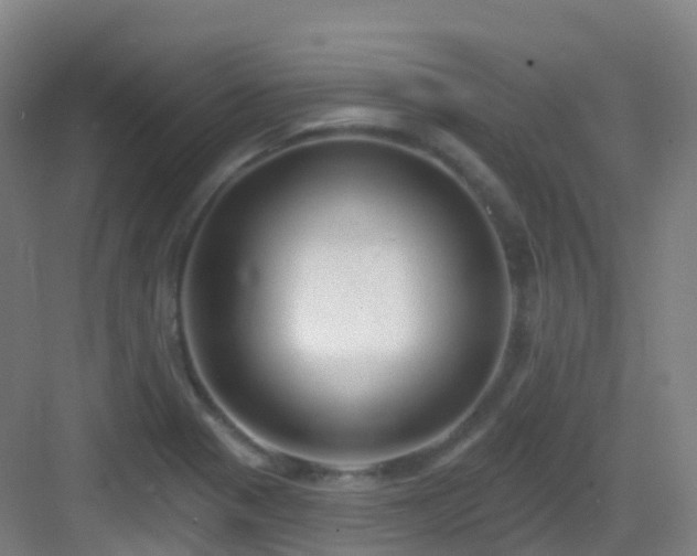 X0000083071321200702091520