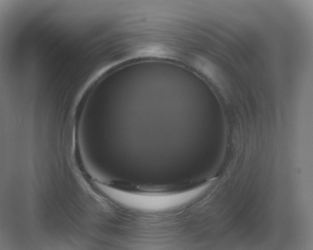 X0000083071323200702091520