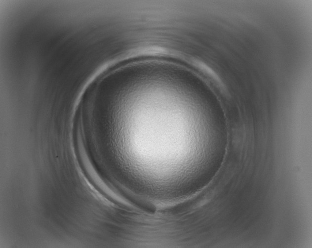 X0000083071326200702091520