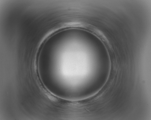 X0000083071328200702091520