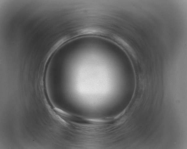 X0000083071330200702091520