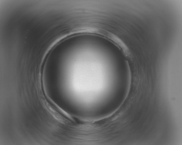 X0000083071332200702091520
