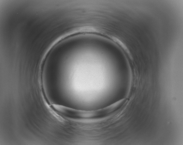X0000083071342200702091520