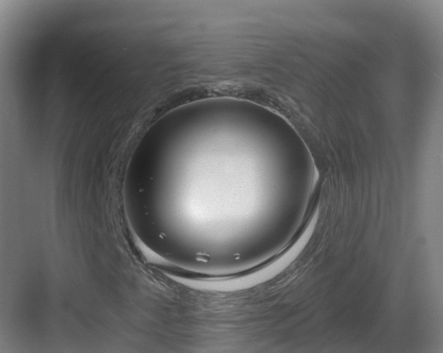 X0000083071345200702091520