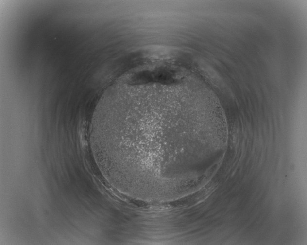 X0000083071346200702091520