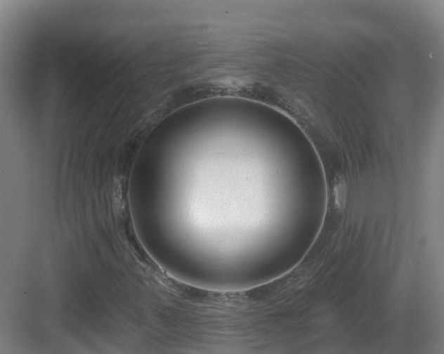 X0000083071347200702091520