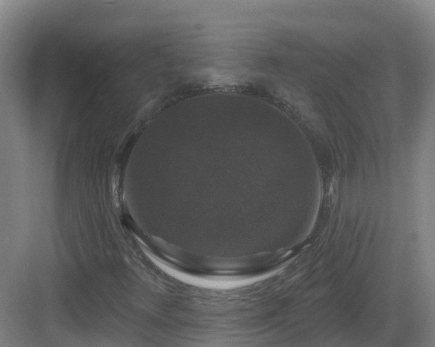 X0000083071348200702091520