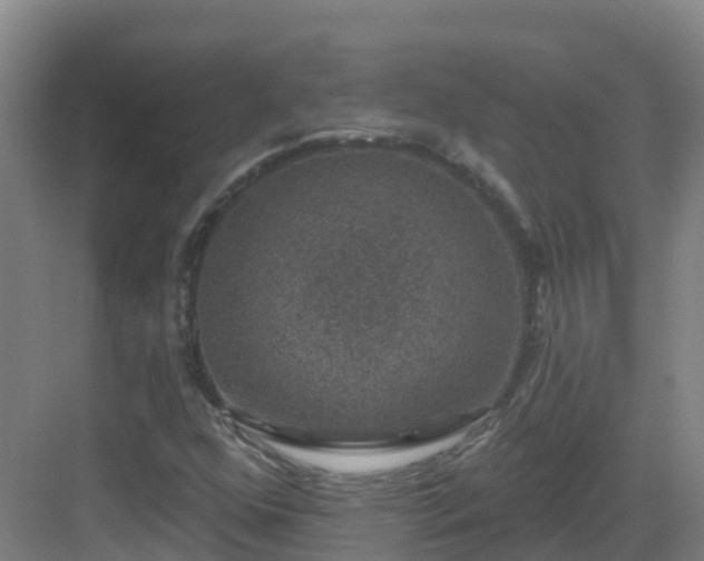 X0000083071352200702091519