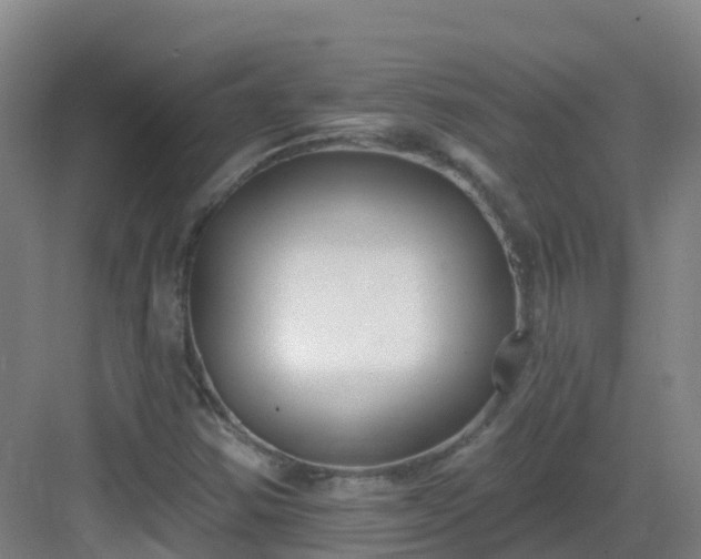 X0000083071354200702091519