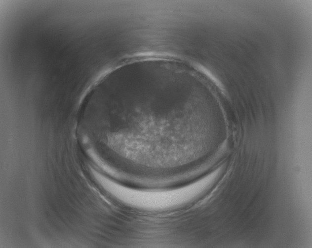 X0000083071357200702091519