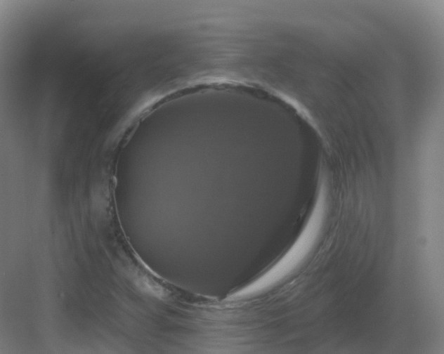 X0000083071359200702091519