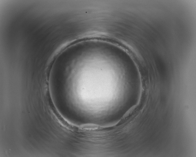 X0000083071363200702091519