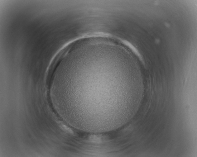 X0000083071364200702091519