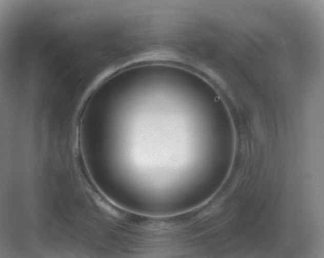 X0000083071366200702091519