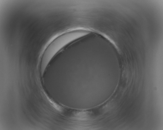 X0000083071367200702091519