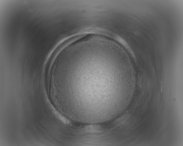 X0000083071368200702091519