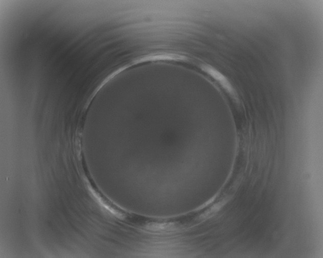 X0000083071369200702091519