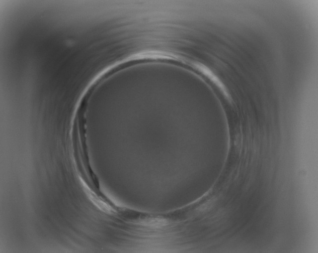 X0000083071372200702091519