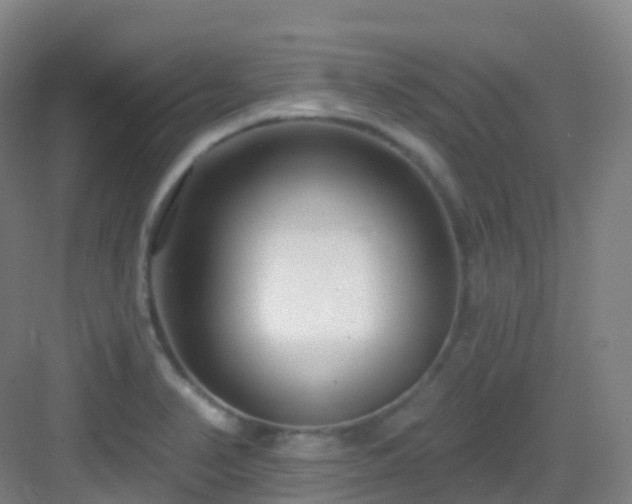 X0000083071374200702091519