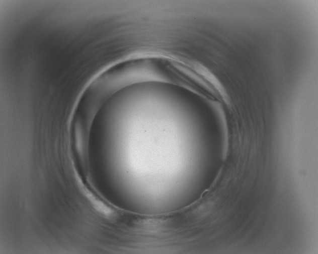 X0000083071380200702091519