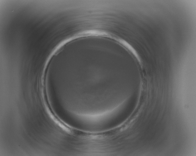 X0000083071381200702091519
