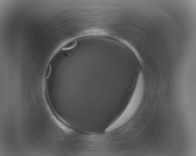 X0000083071383200702091519