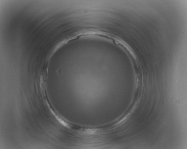 X0000083071385200702091519