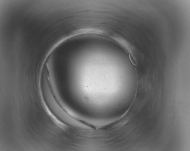 X0000083071391200702091519