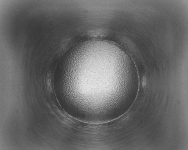 X0000083071396200702091518